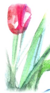 cropped-tulipsinvase1a_1-copy4.jpg